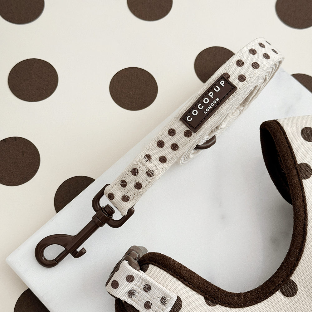 Tiramisu Polka Dot Lead