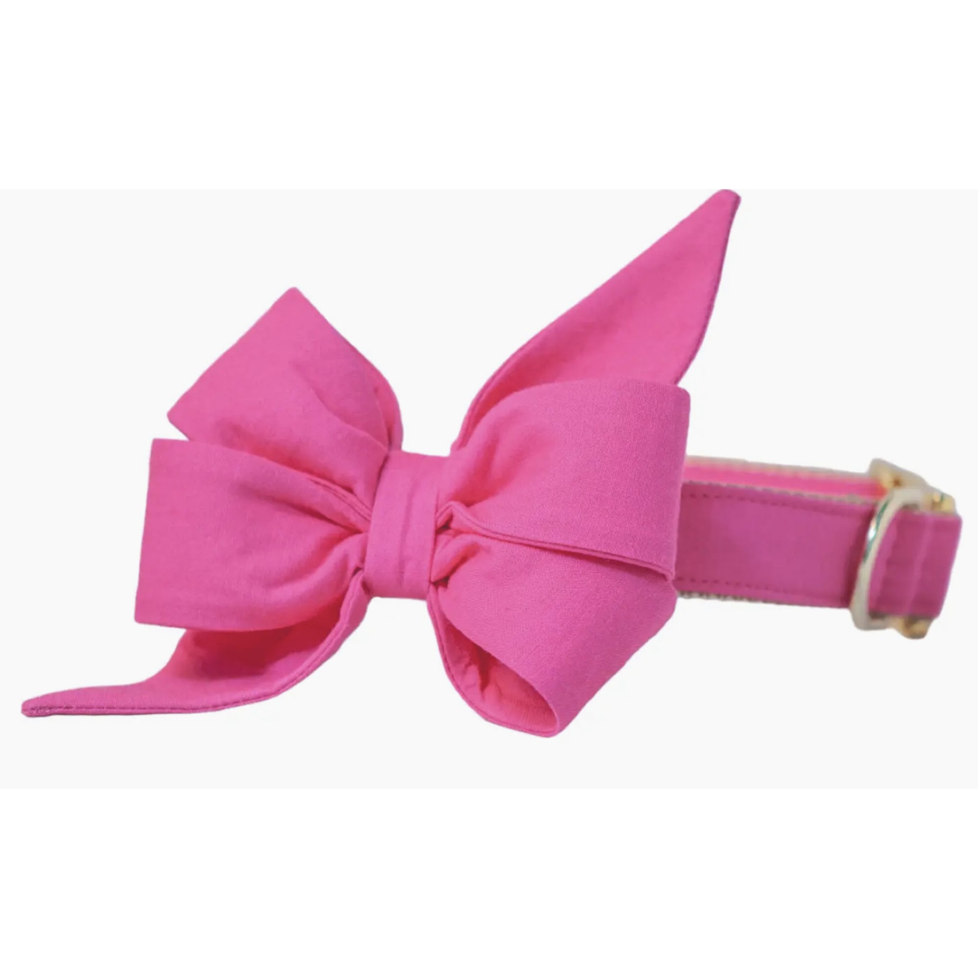 Azalea pink Belle bow dog collar