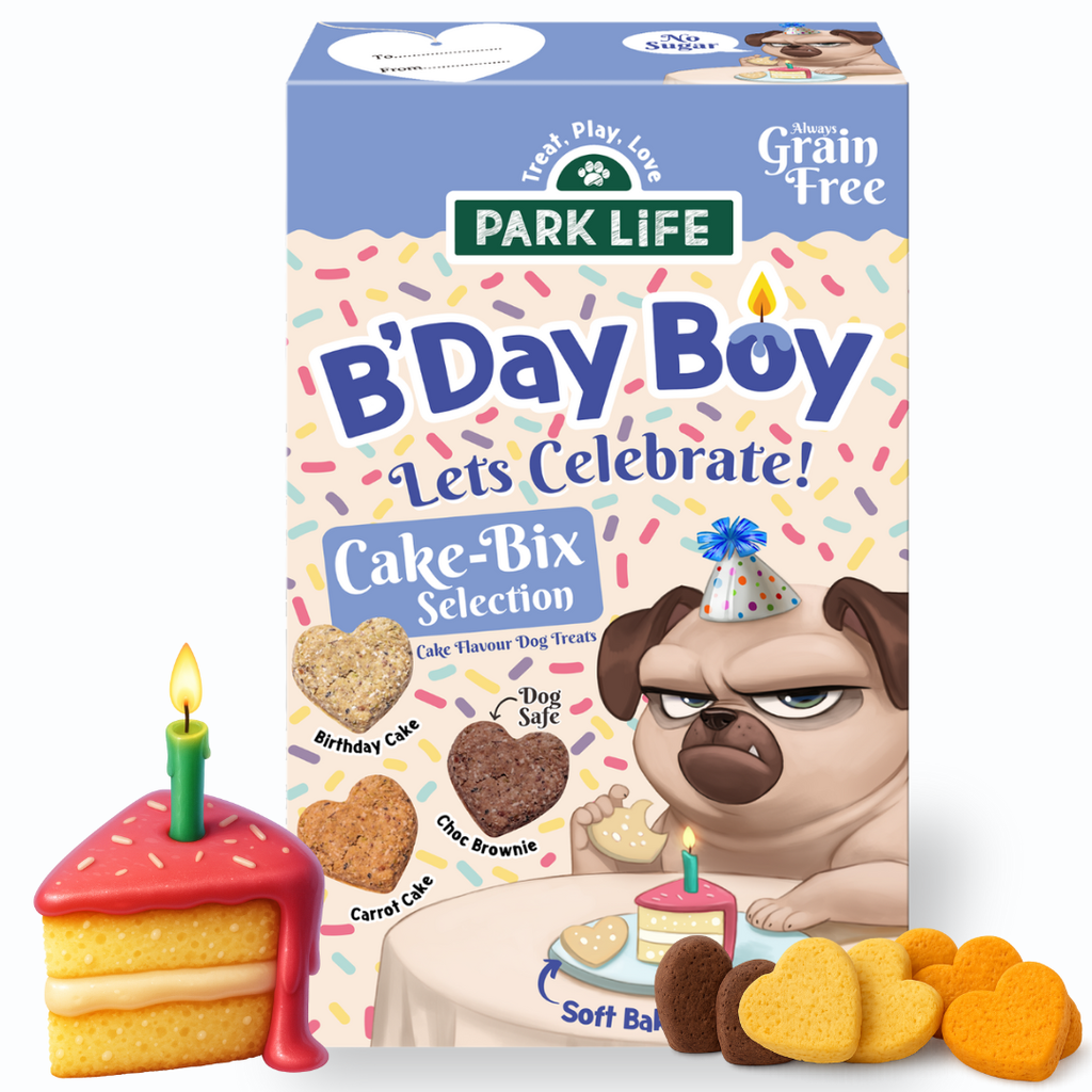 Cake-Bix B'Day Boy Cake Selection 240g