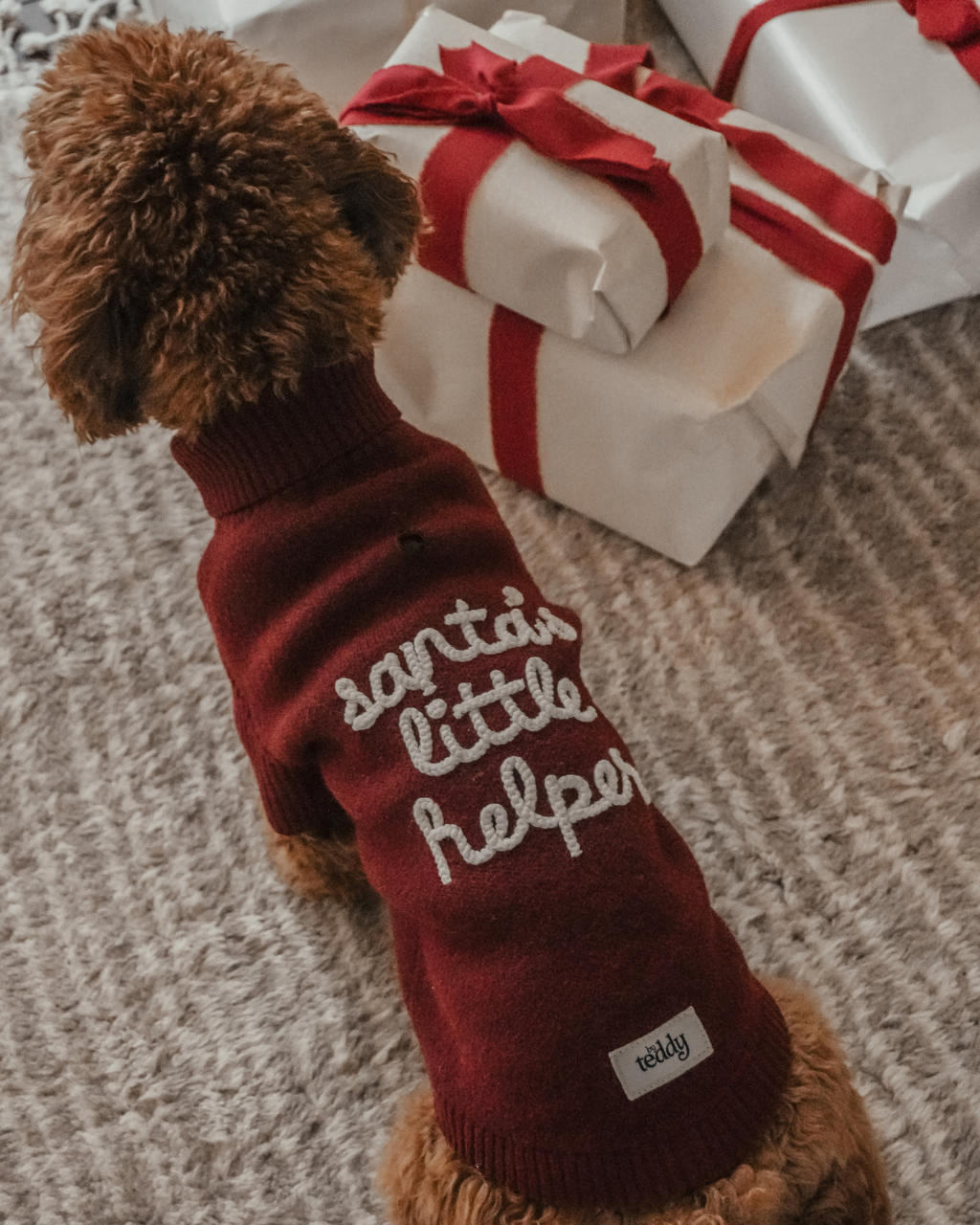 Santa's Little Helper | Roll Neck Knit Dog Jumper