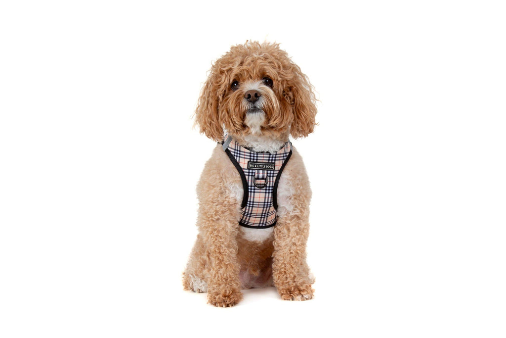 STEP-IN DOG HARNESS: Nova Plaid