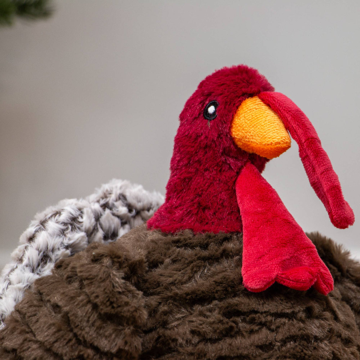 Tina Turkey