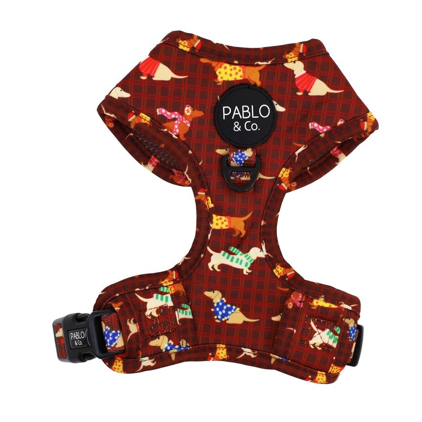 Merry Little Dachshunds harness