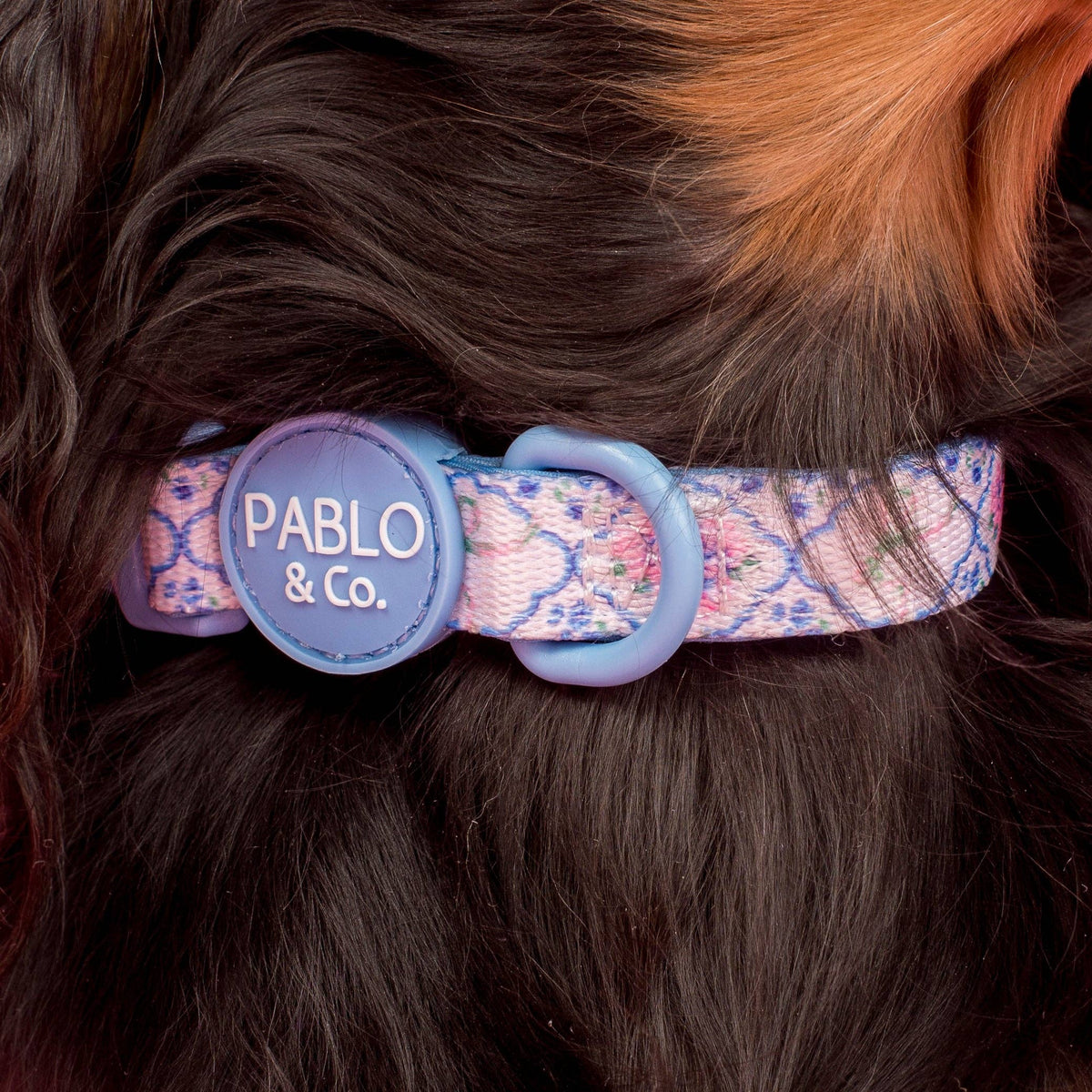 Petal: Collar