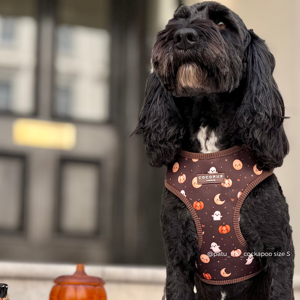 Boo Crew Adjustable Neck HARNESS