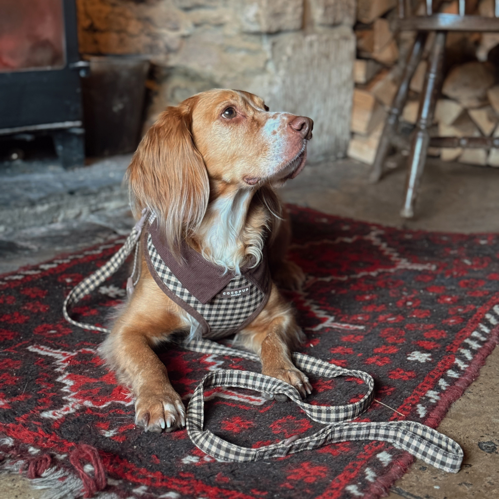 Cotswolds Check Adjustable Neck HARNESS