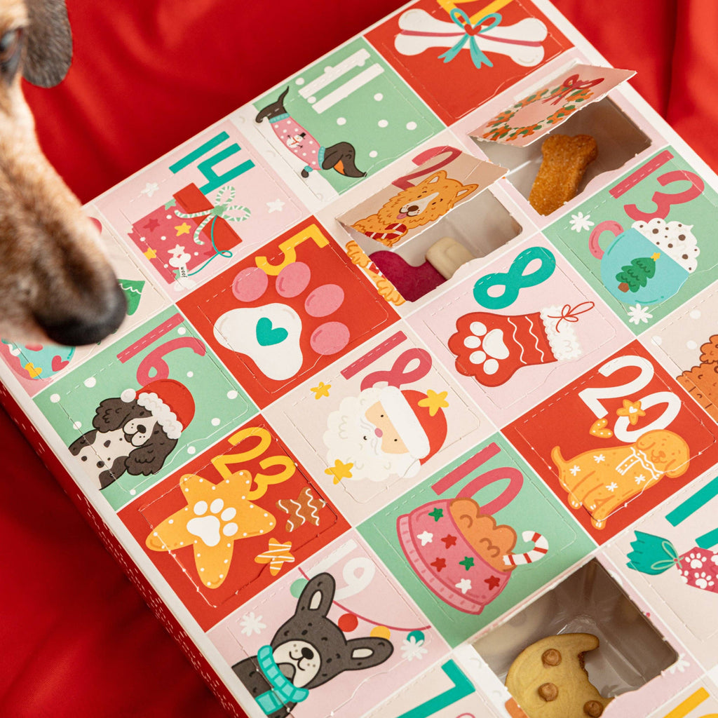 Christmas Biscuit Advent Calendar for Dogs