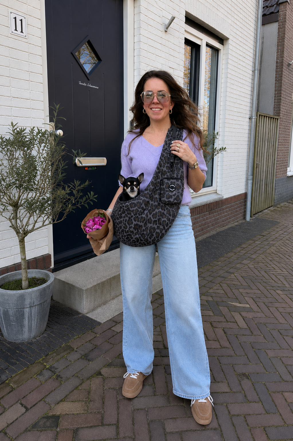 Dog Carrier leopard gray