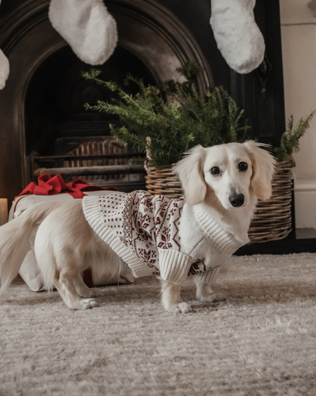 Snowberry | Après Ski Roll Neck Knit