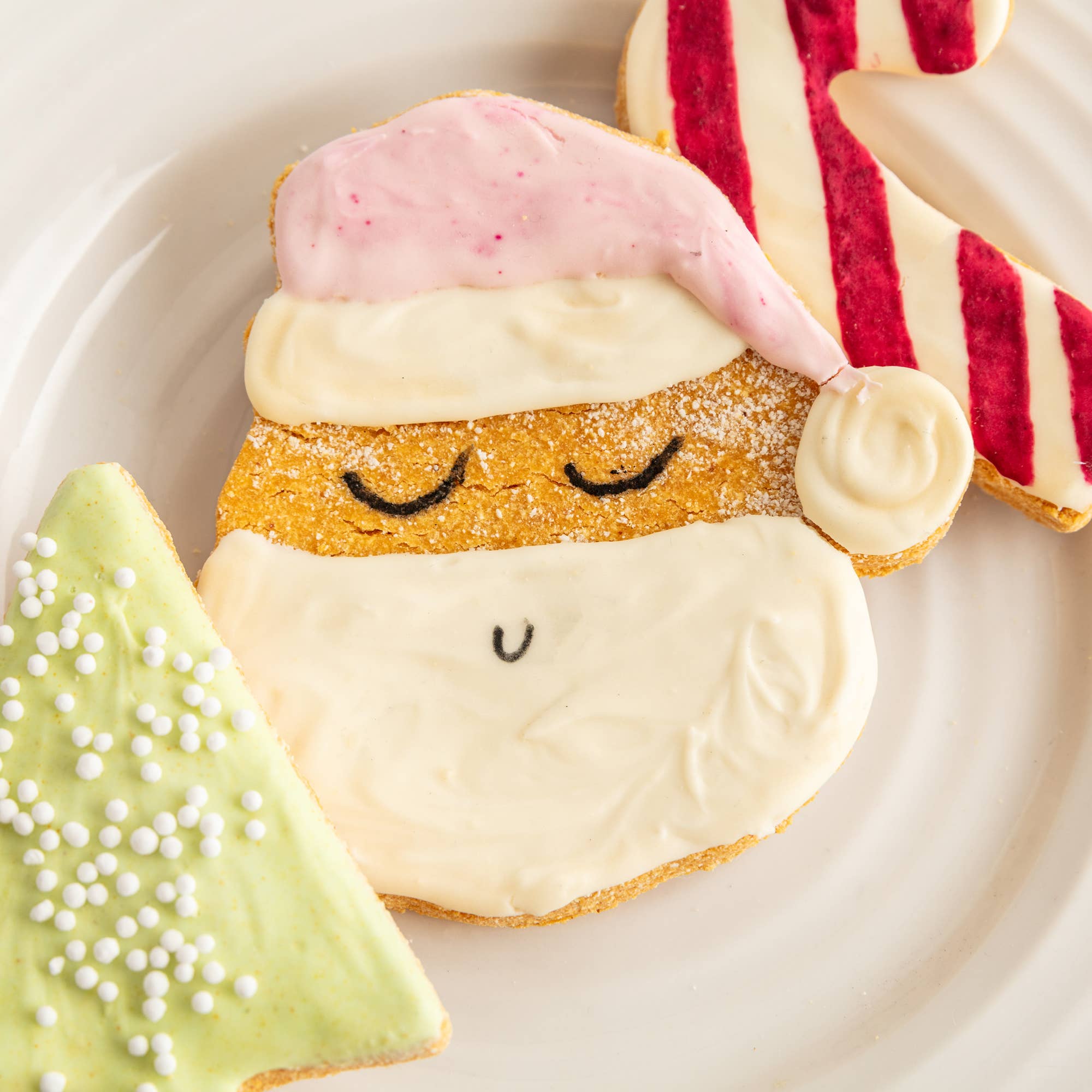 Christmas Iced Dog Biscuit Trio