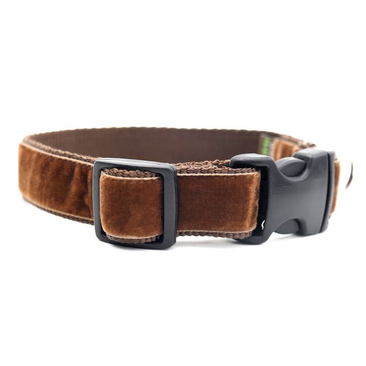 Teddy brown velvet collar