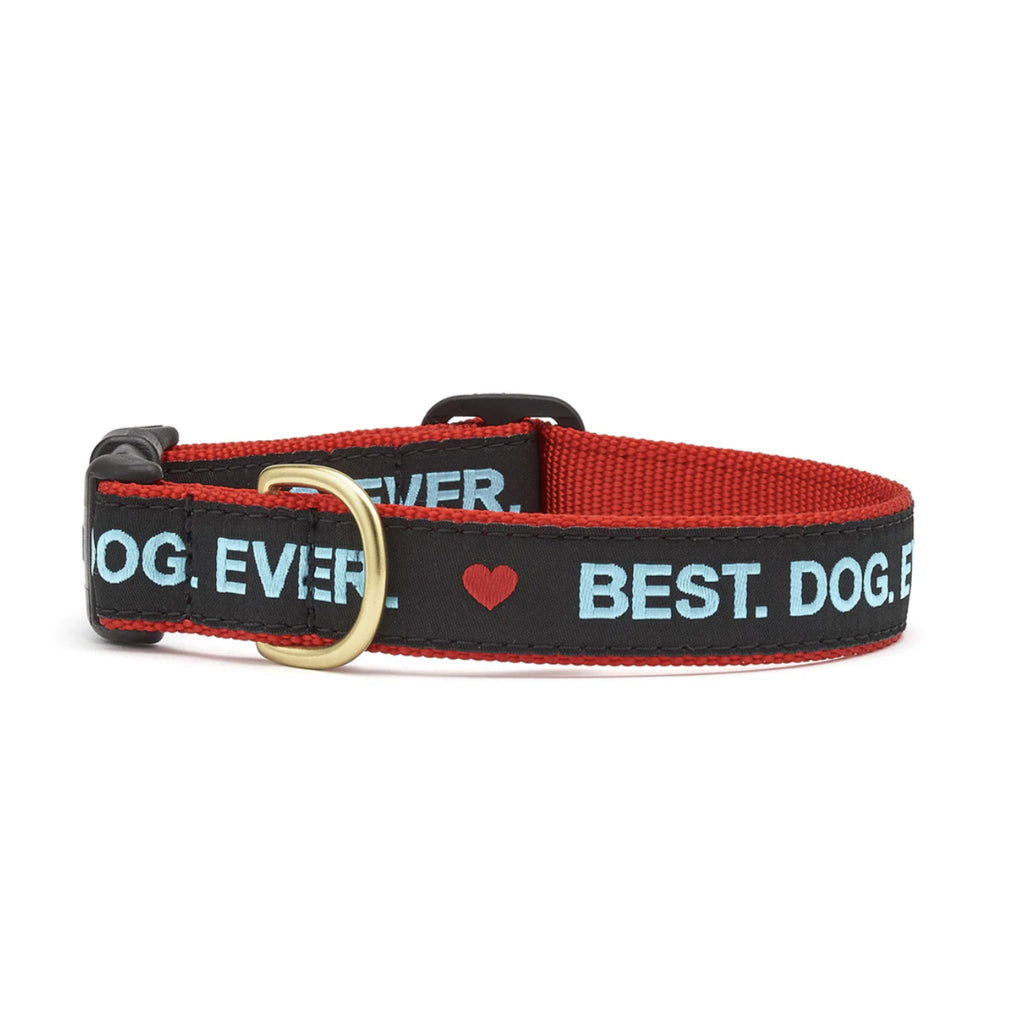 Best Dog Ever Collar