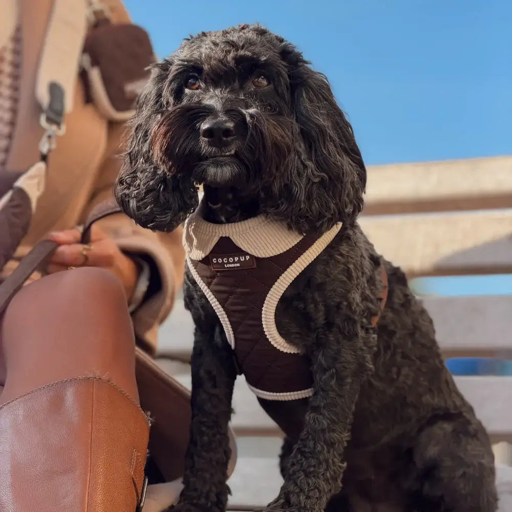 Burford Quilted Adjustable Neck HARNESS