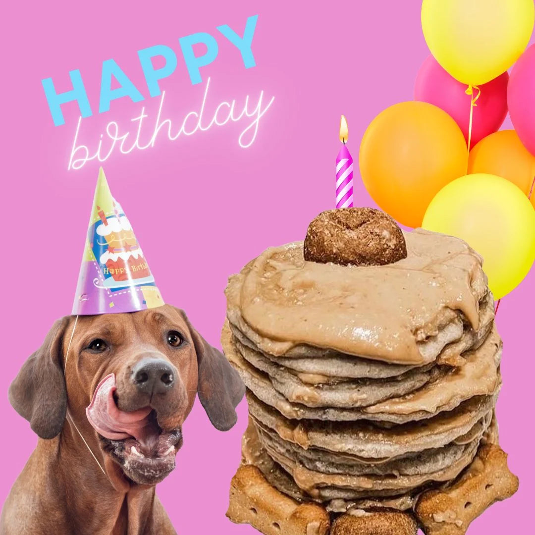 BIRTHDAY BASH POOCH PANCAKES- 100% natural Dog Pancakes,