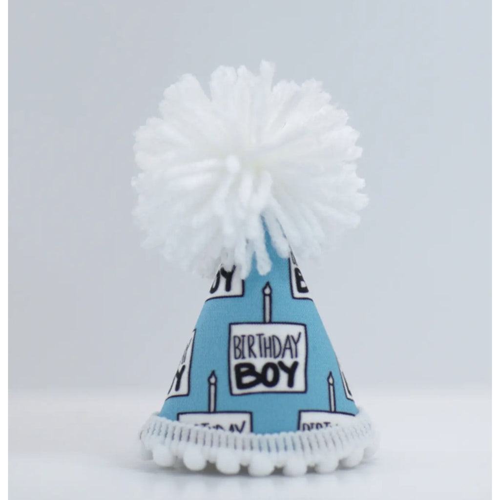 Birthday Boy Party Hat