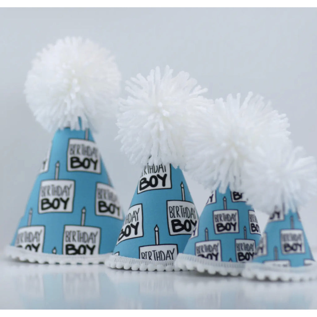 Birthday Boy Party Hat