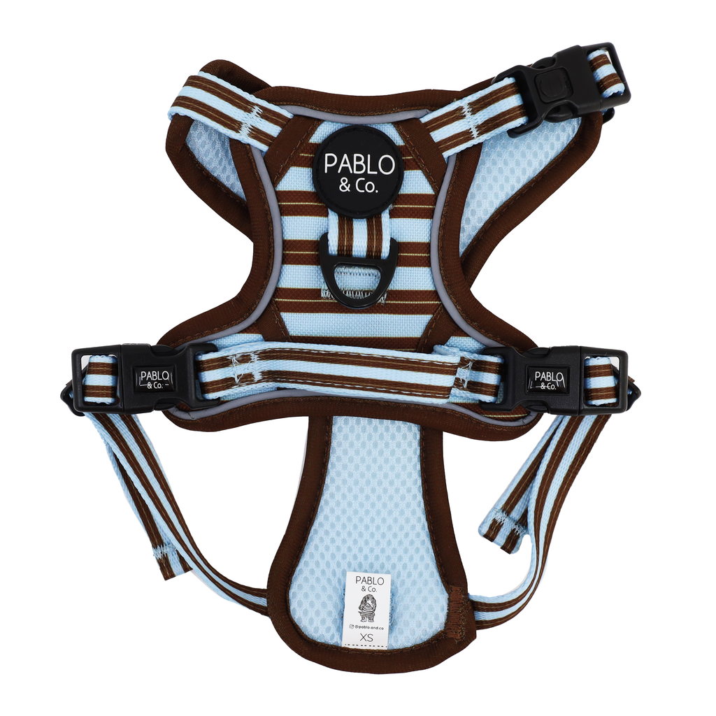 Sunday Stripes: No Pull Adventure Dog Harness