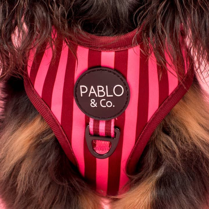 Blushing Stripes harness