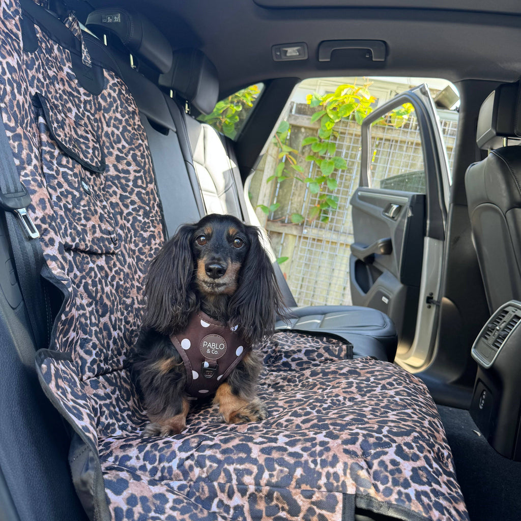 Leopard: Deluxe Single Car Seat Cover
