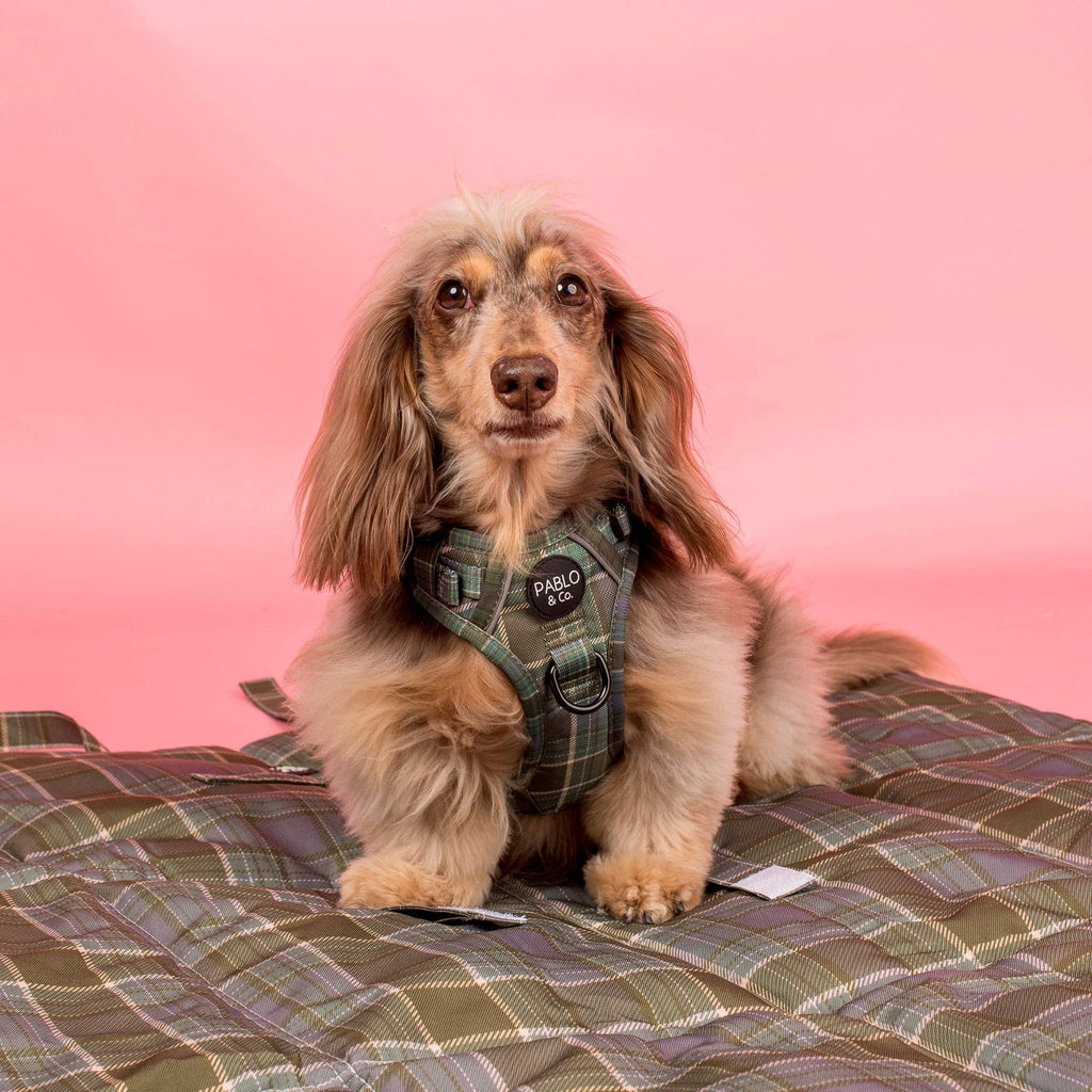 Deluxe Travel Mat: Green Plaid