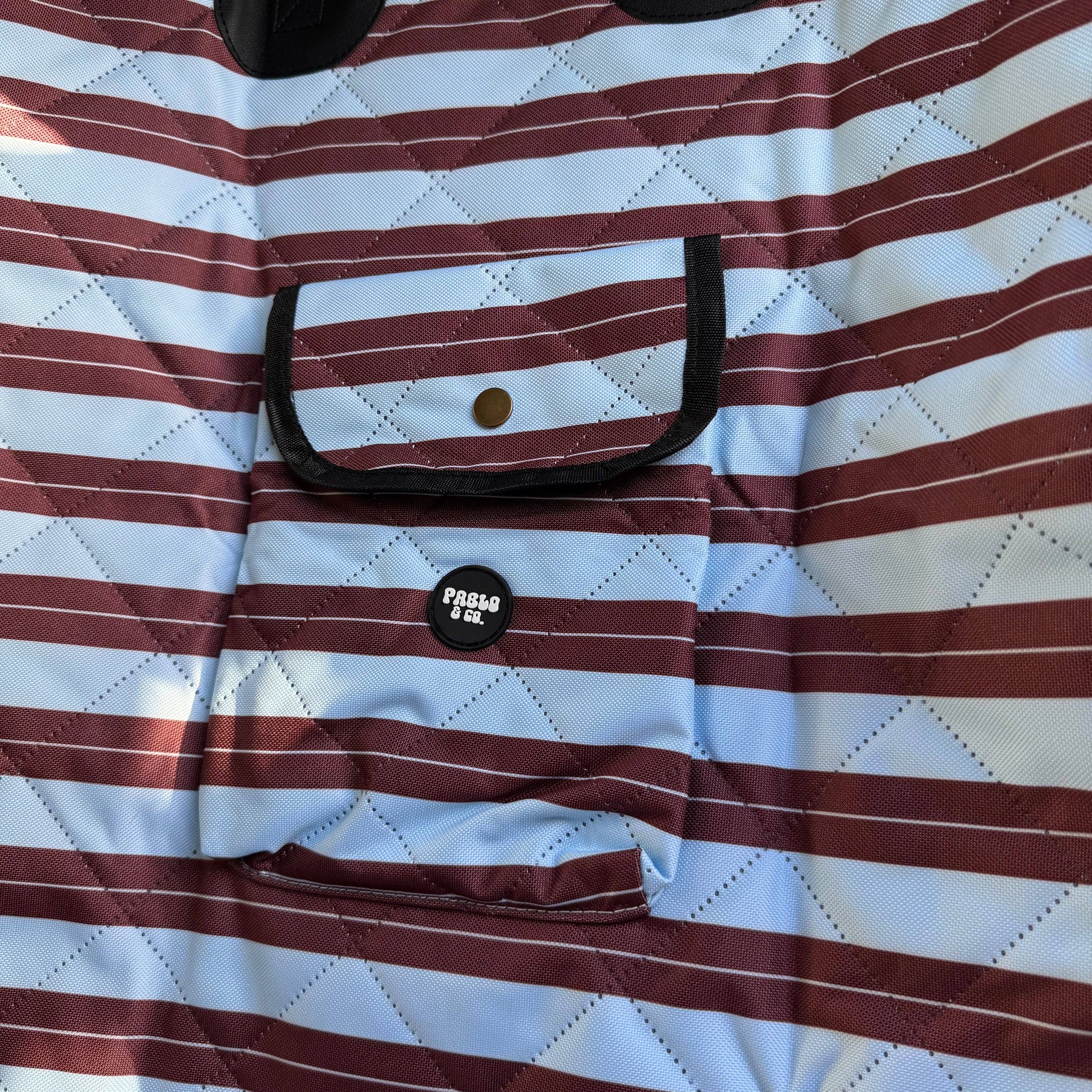 Sunday Stripes: Deluxe Single Dog Car  Seat Cover