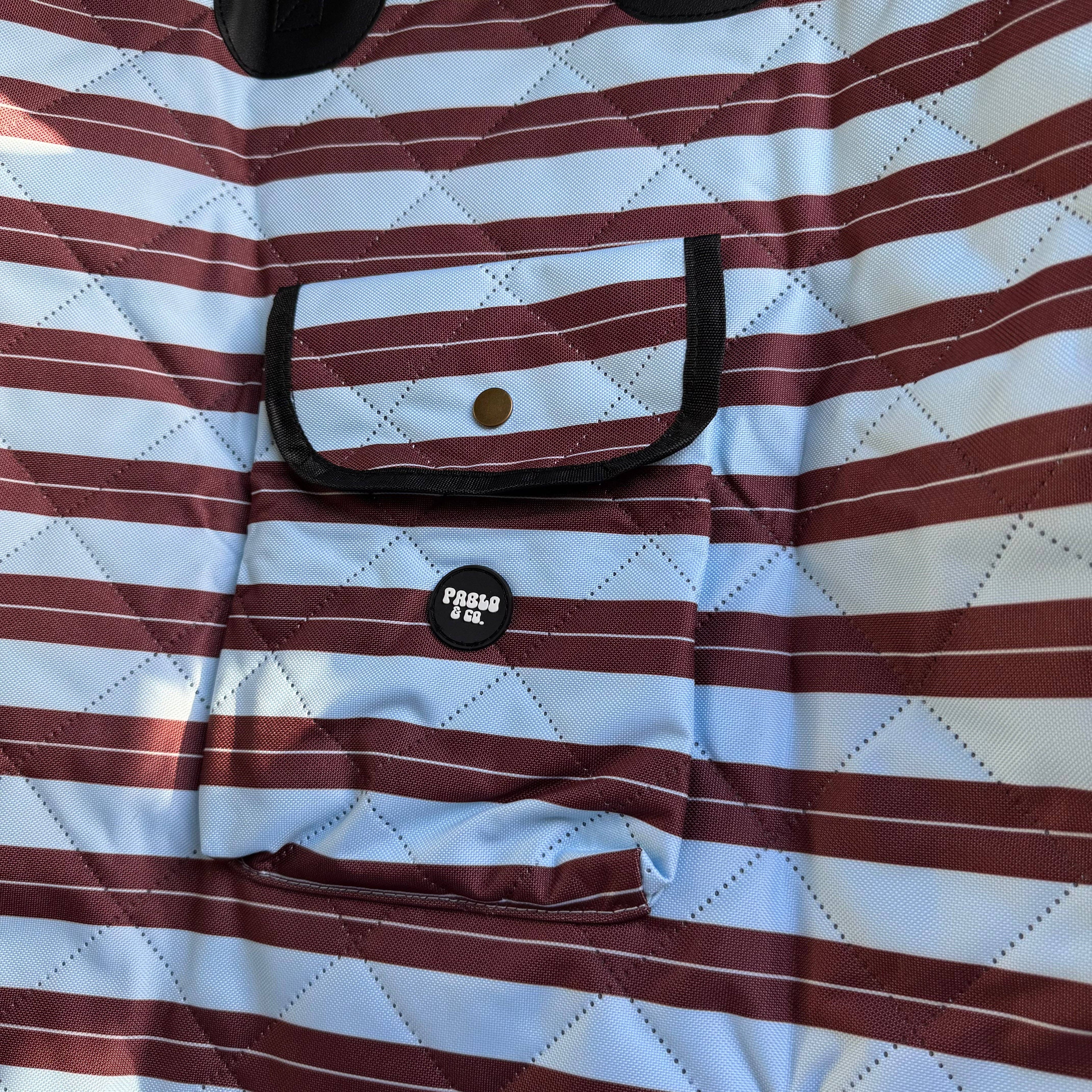 Sunday Stripes: Deluxe Single Dog Car  Seat Cover
