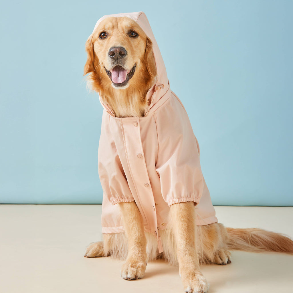 Petal Pink Dog Raincoat