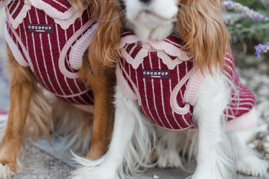 Knitted Cherry Bakewell Adjustable Neck HARNESS
