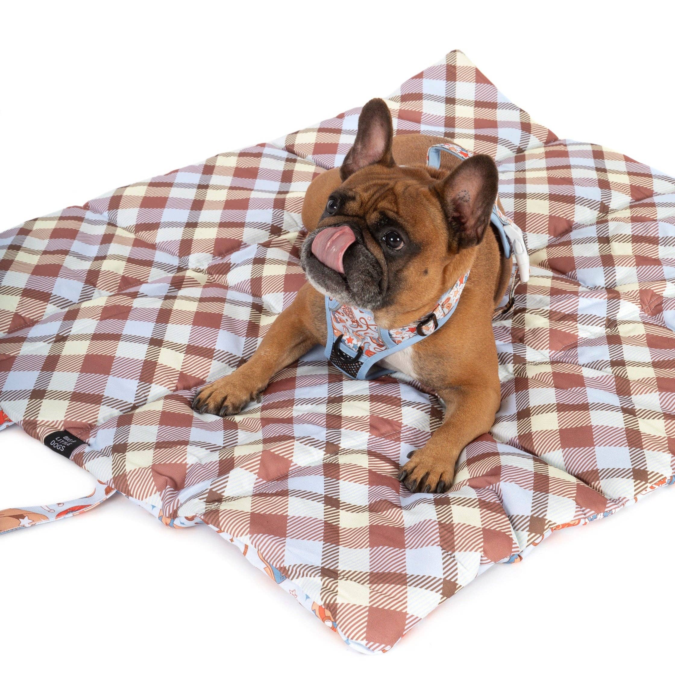 ON-THE-GO PET MAT: Rodeo King