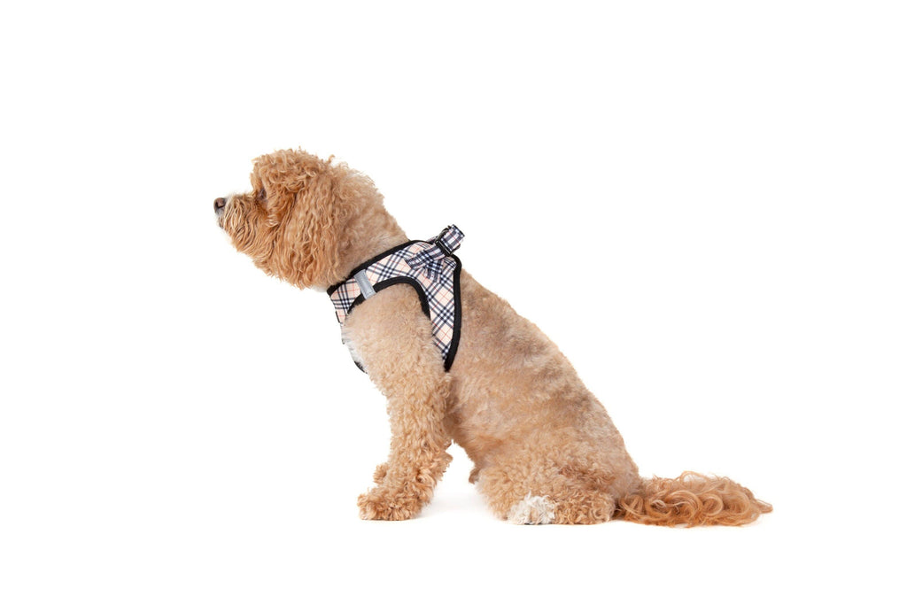 STEP-IN DOG HARNESS: Nova Plaid