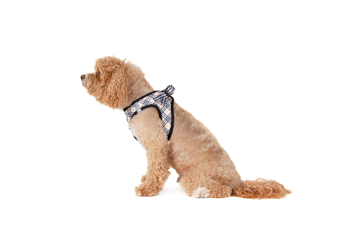 STEP-IN DOG HARNESS: Nova Plaid