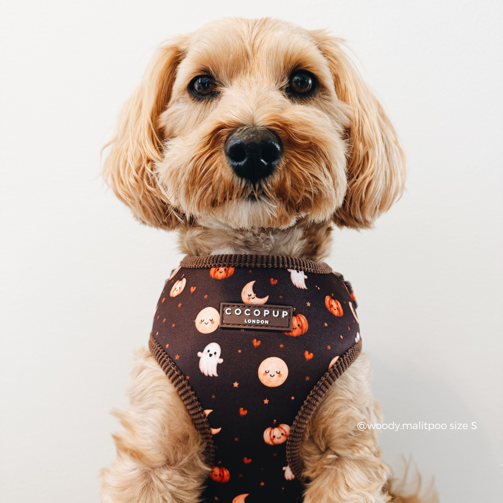 Boo Crew Adjustable Neck HARNESS