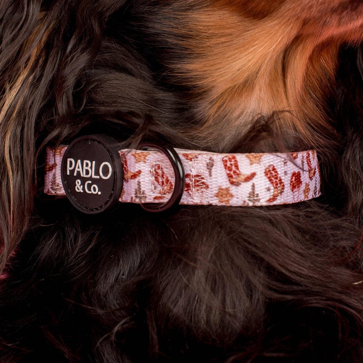 Howdy: Collar