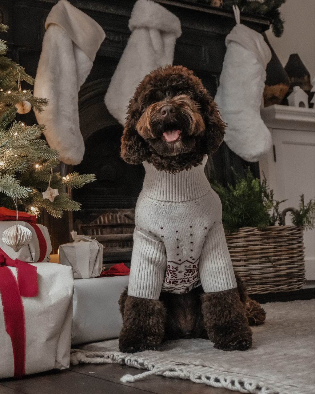 Snowberry | Après Ski Roll Neck Knit