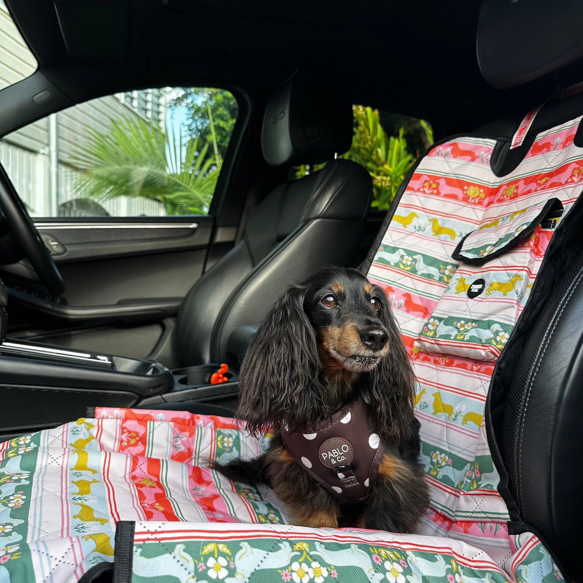 The Blooming Dachshund: Deluxe Single Dog Car Seat Cover