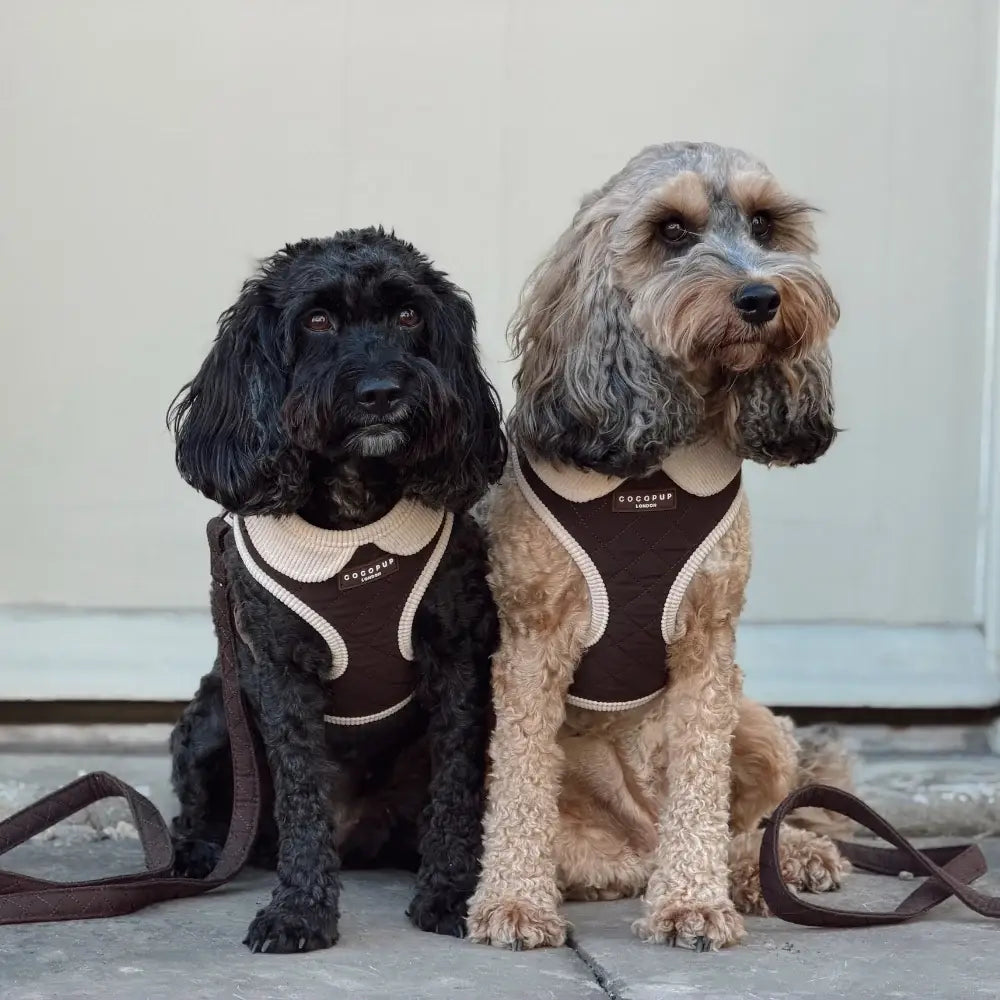 Burford Quilted Adjustable Neck HARNESS