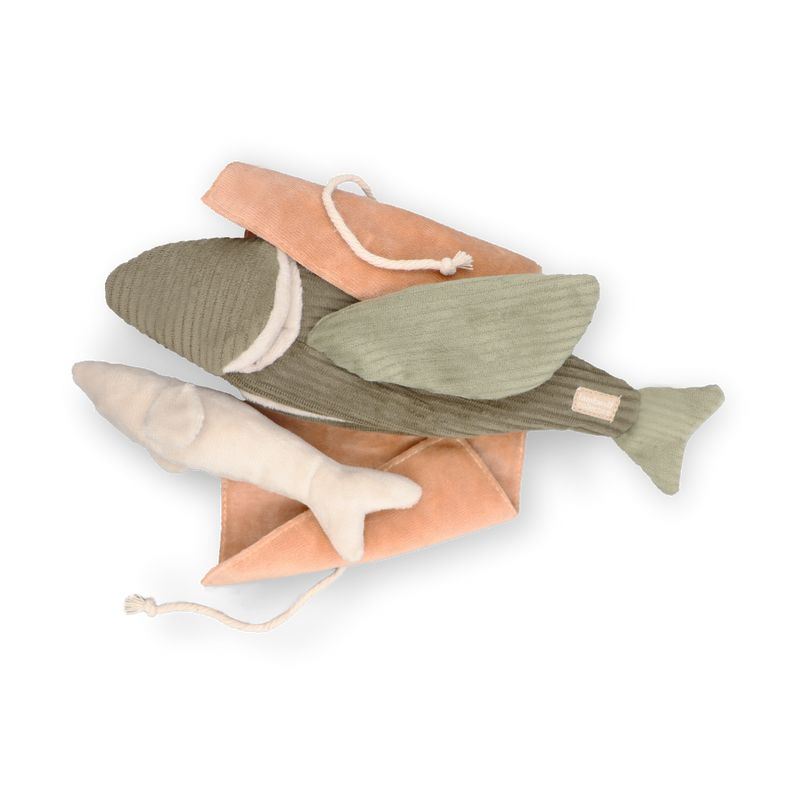 Flying fish enrichment toy