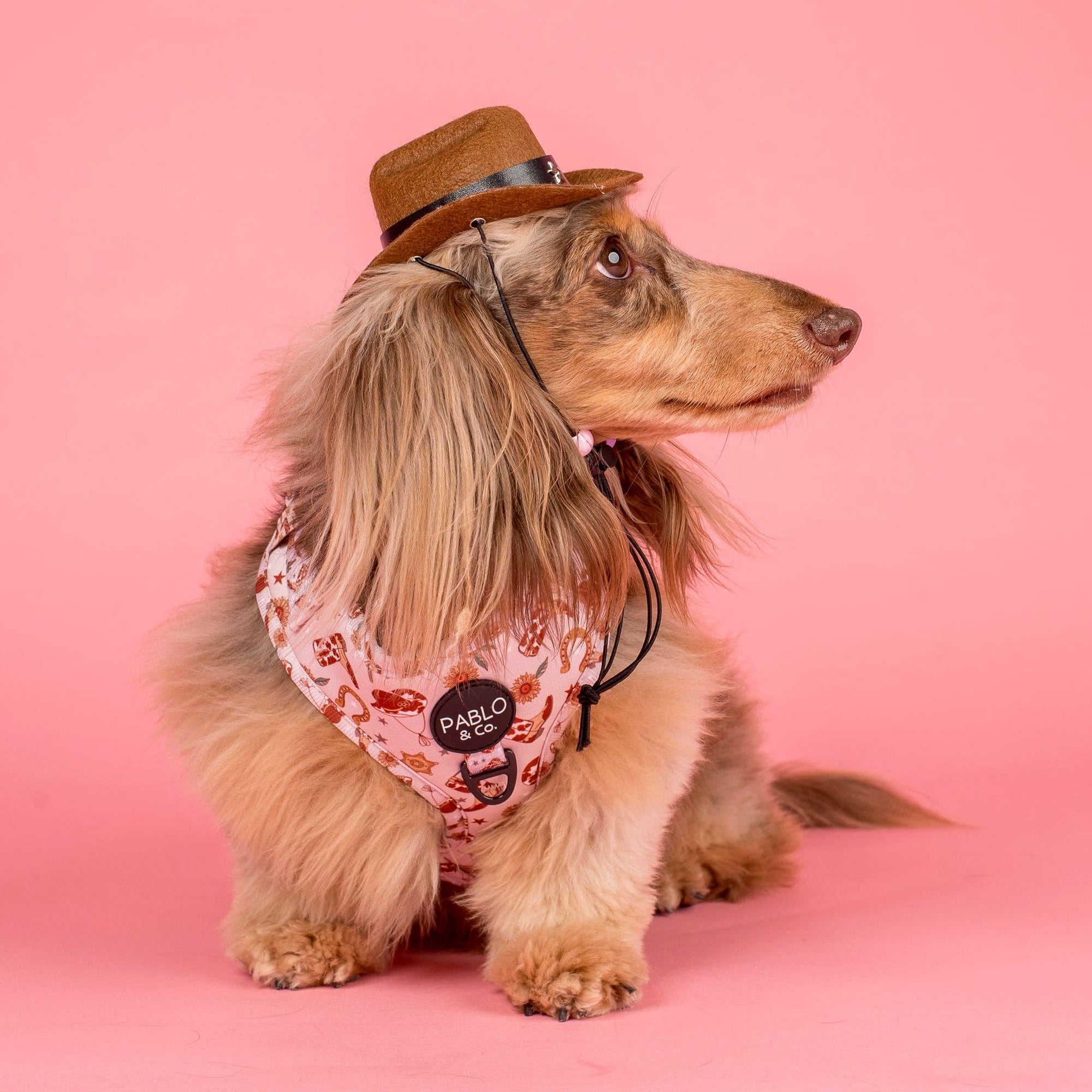 Howdy Adjustable Dog Harness