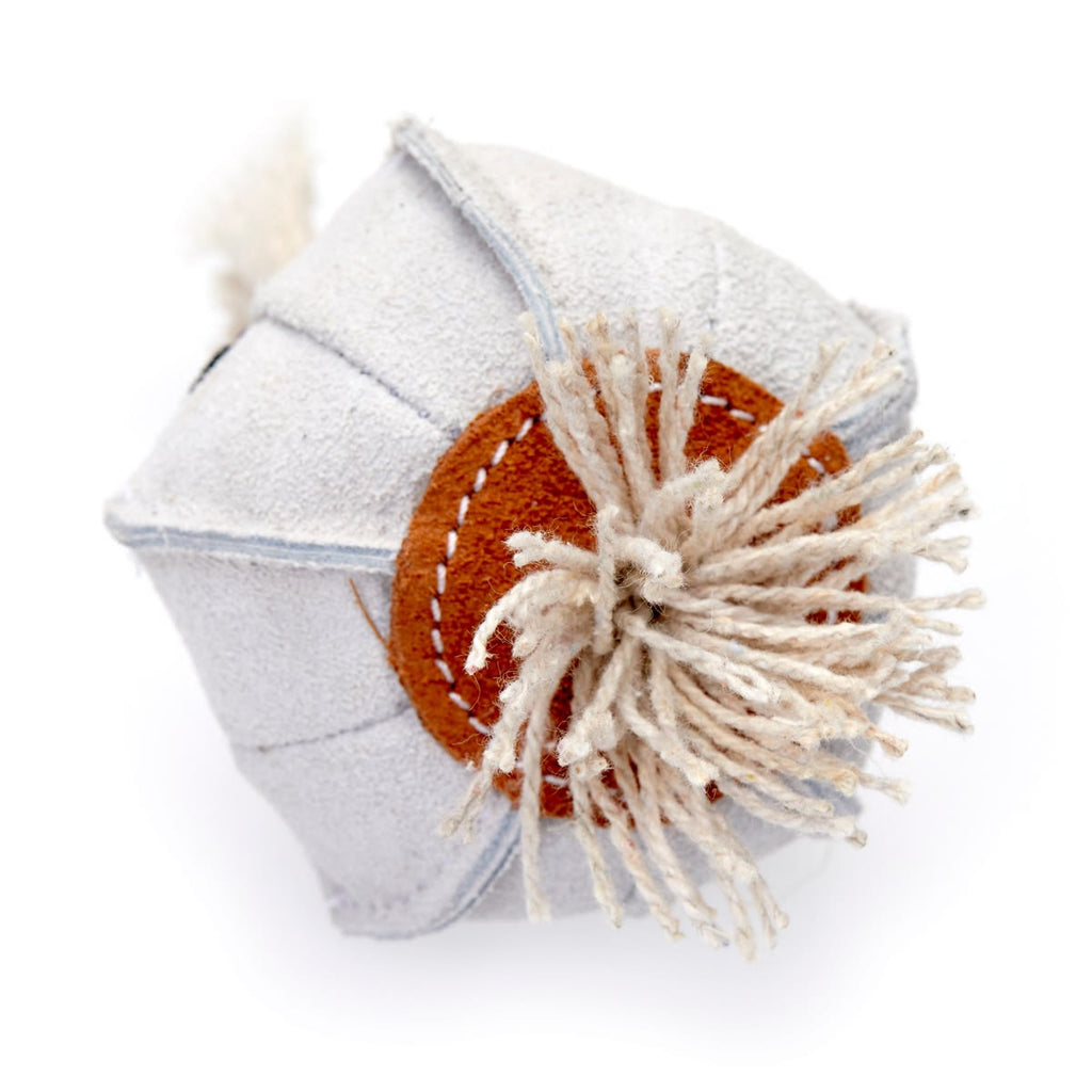 Gary the garlic dog toy-eco dog toy