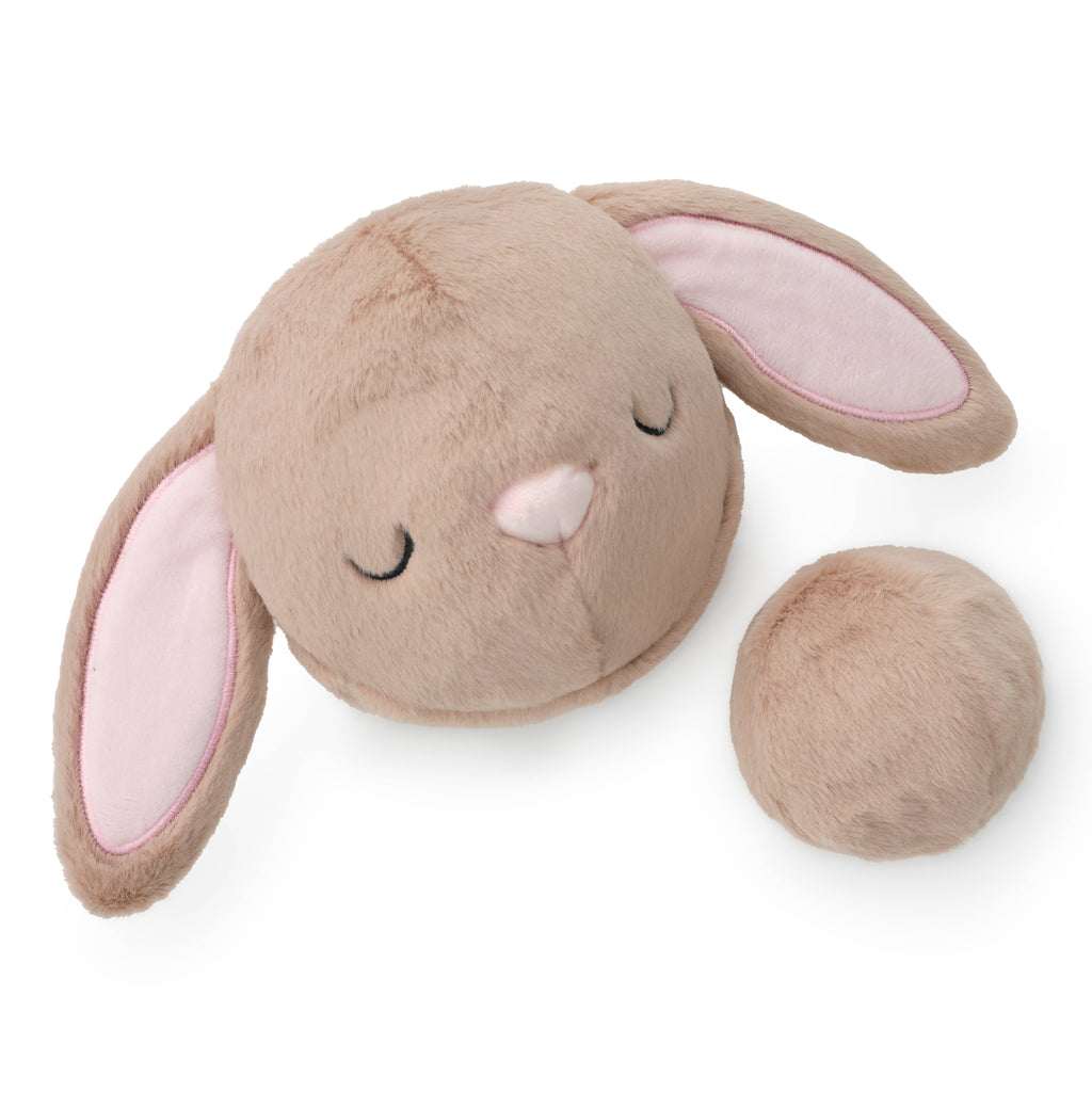 Bunny 2-in-1 Bounce Dog Toy