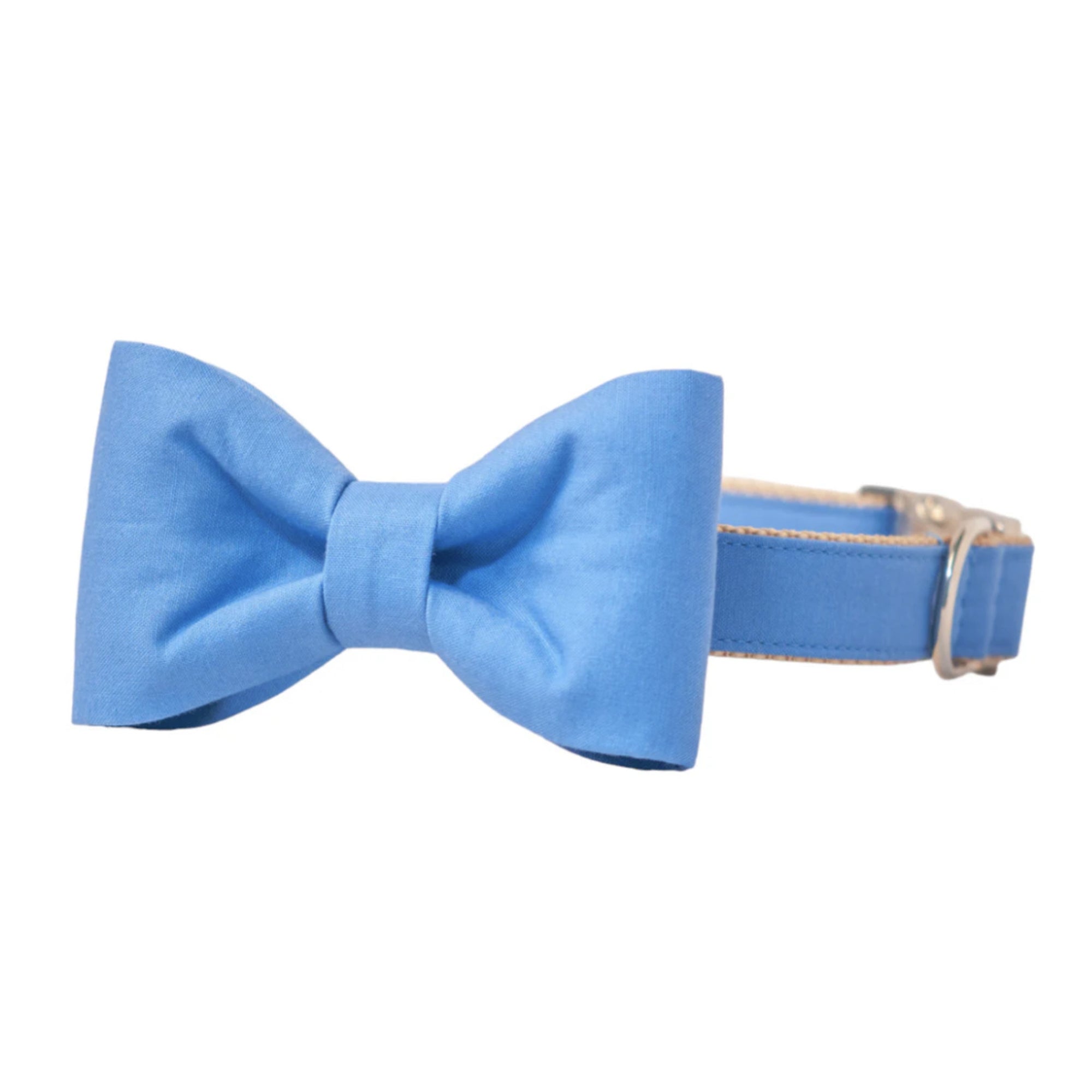 Copen Blue Bow Tie Dog Collar