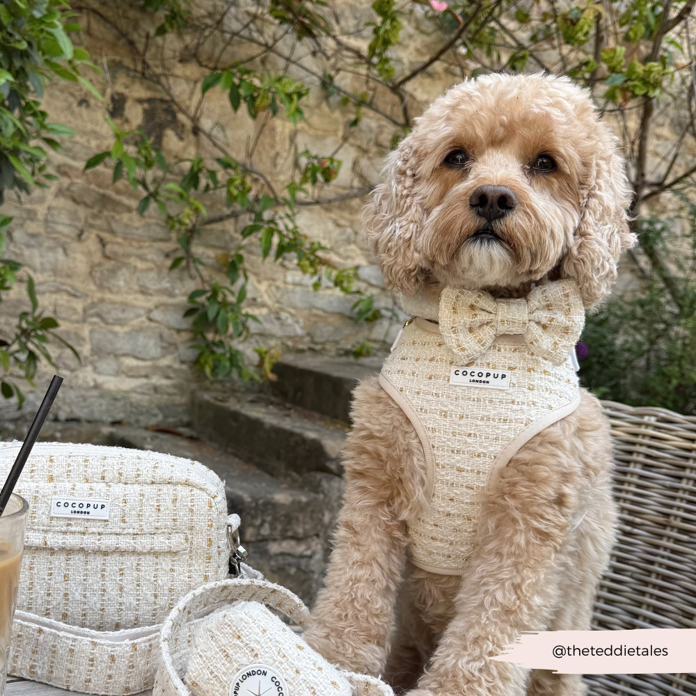 Vanilla Textured Tweed Adjustable Neck HARNESS
