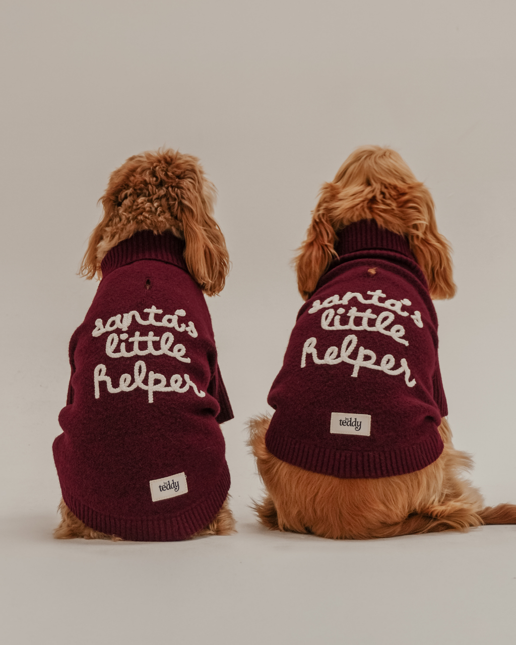 Santa's Little Helper | Roll Neck Knit Dog Jumper