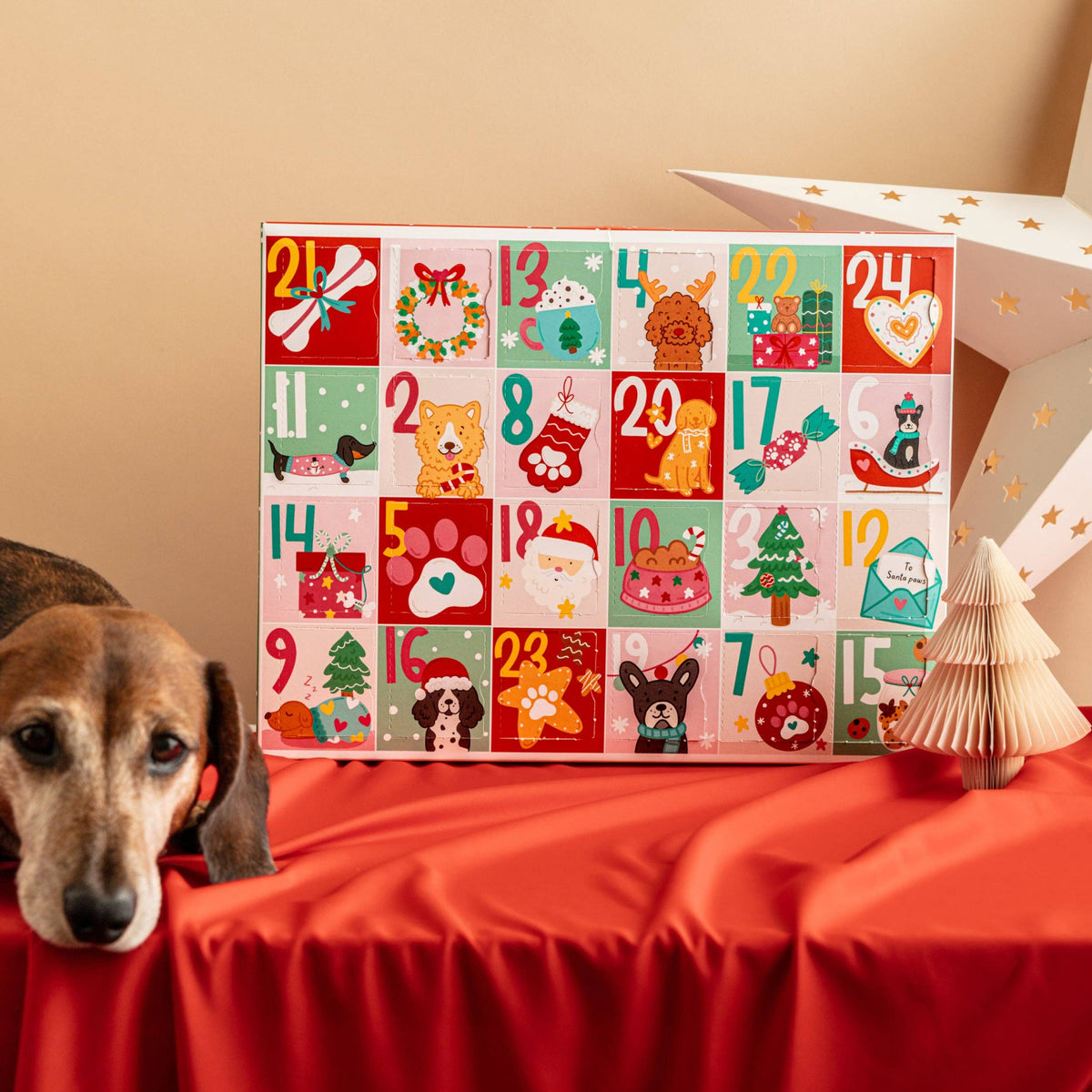 Christmas Biscuit Advent Calendar for Dogs