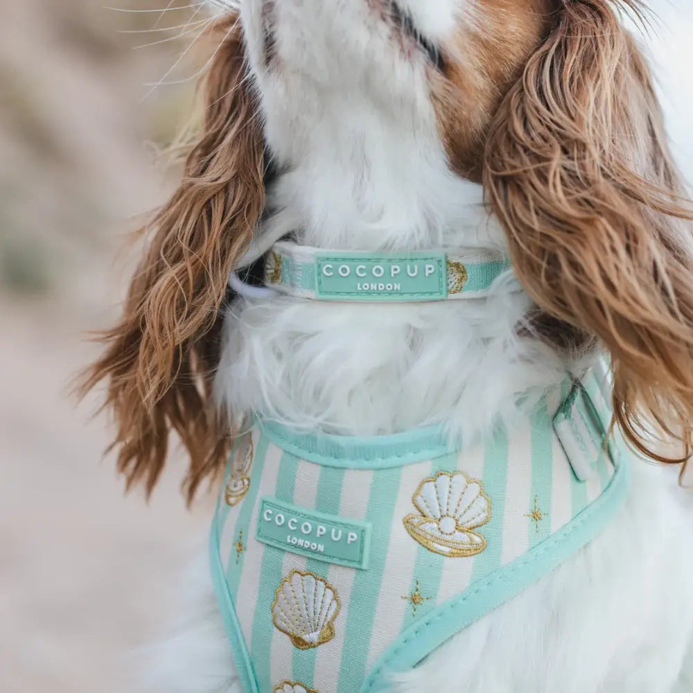Mermaid Pearl Pup dog collar
