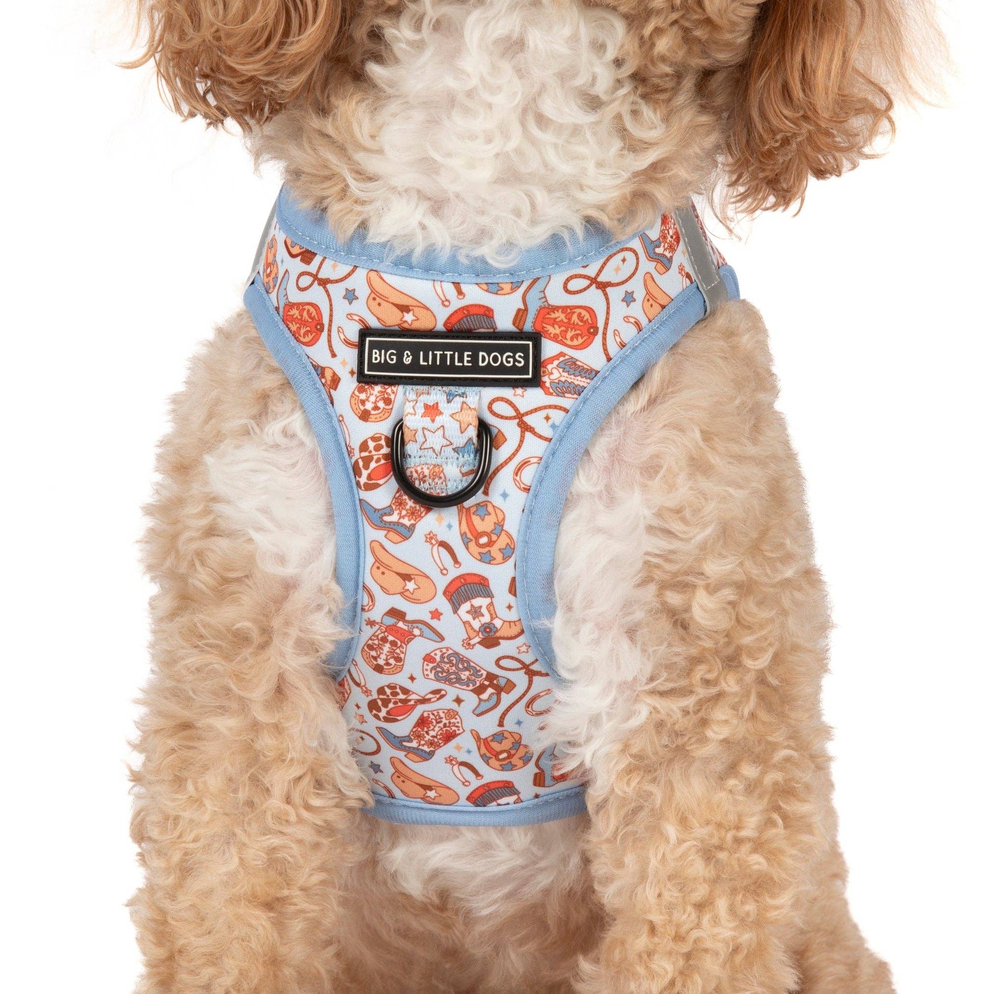 Rodeo King step-in dog harness