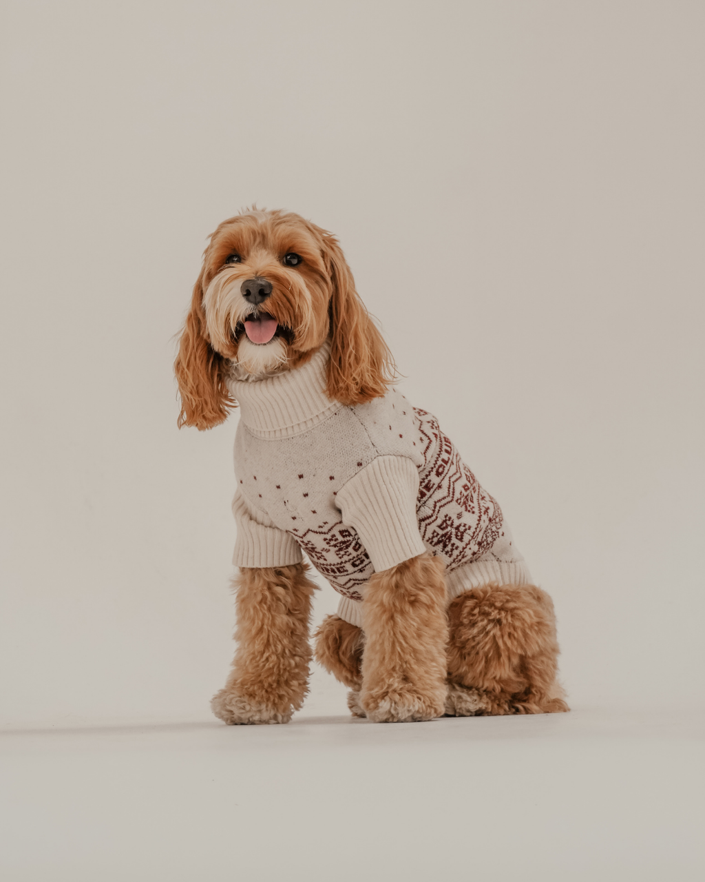 Snowberry | Après Ski Roll Neck Knit