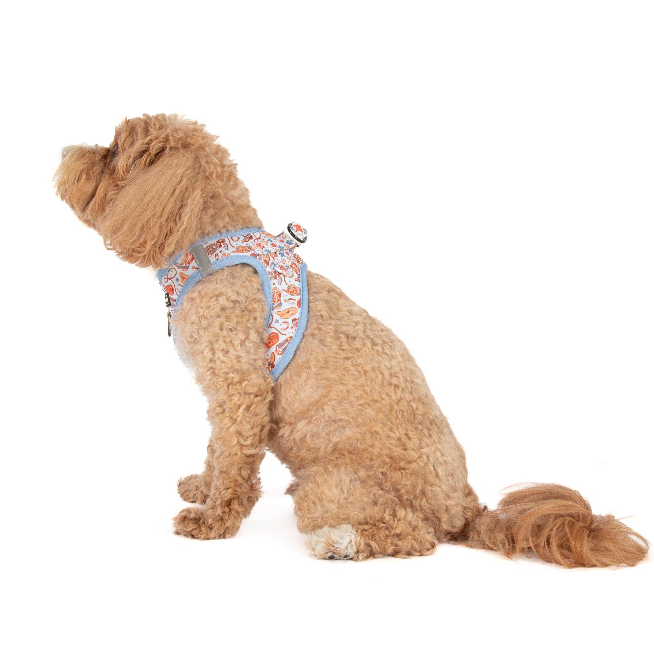 Rodeo King step-in dog harness