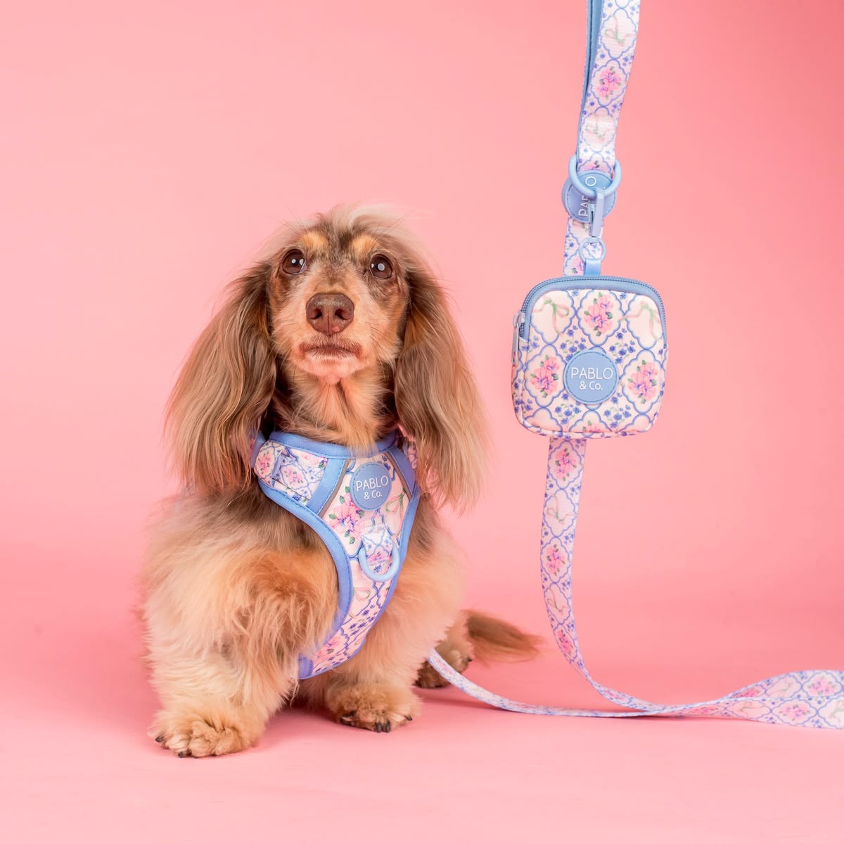 Petal treat pouch