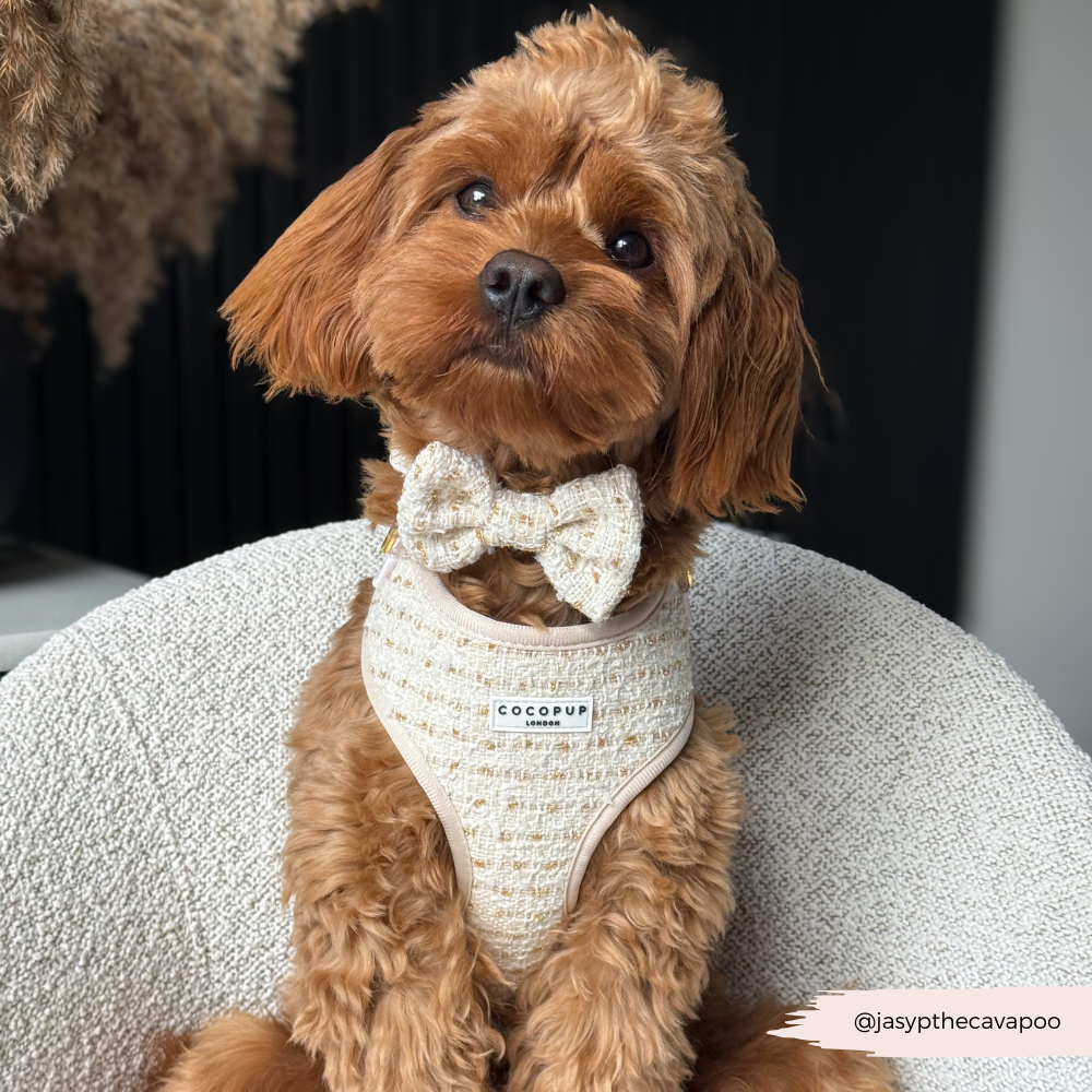 Vanilla Textured Tweed Adjustable Neck HARNESS